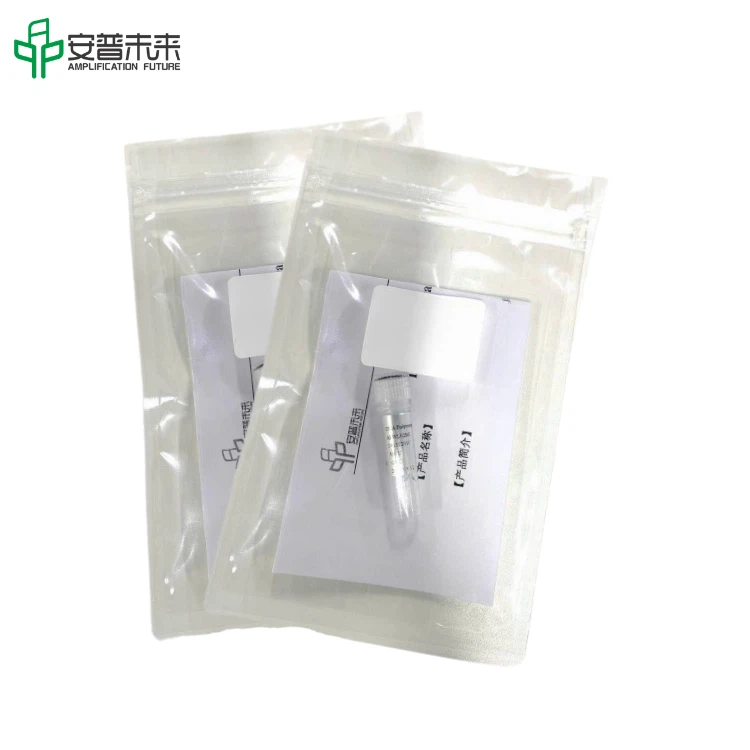 2.Exonuclease III 2.0