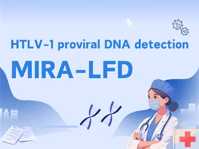 Um ensaio de combinação de vareta medidora de fluxo lateral e amplificação rá...